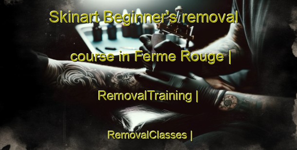 Skinart Beginner's removal course in Ferme Rouge | RemovalTraining | RemovalClasses | SkinartTraining-Canada